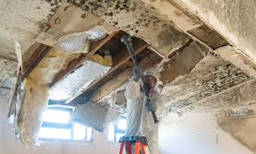 Best Water Damage & Mold Remediation  in Conneaut, OH